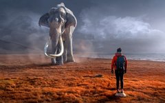 Изображение с сайта pixabay.com