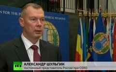 Постпред России при ОЗХО Александр Шульгин. Стоп-кадр с видео