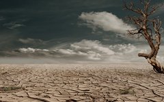 Засуха. Фото с сайта Рixabay.com