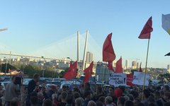 выборы в Приморье