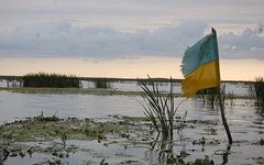 Флаг Украины в болоте