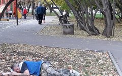 Дойти до московской школы и выжить!