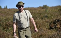 © KM.RU, Пресс-служба Кремля