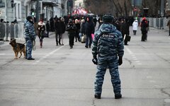 © KM.RU, Алексей Белкин