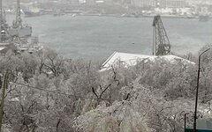 Хроники Апокалипсиса: в обесточенном Приморье лед падал со всех сторон