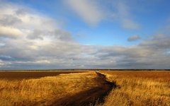 Отток гастарбайтеров оставит Россию без урожая?