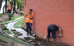 Будут ли московские гастарбайтеры спать в масках?