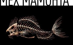 Мех Мамонта «Глупый сиг»