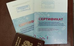 Сертификат о прививке © KM.RU, Наталья Ступникова