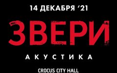 «Звери» (акустика), 14 декабря, «Крокус Сити Холл»