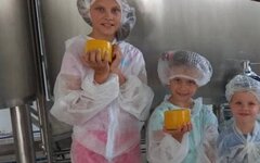 Ужасы нашего Крыма: чиновники полуострова отбирают землю у сыровара