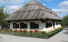 фото pixbay