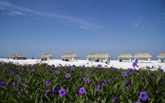 фото pixbay