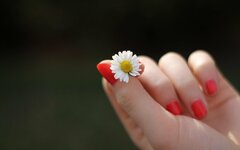 фото pixbay