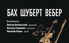 «Чистая классика» (Бах, Шуберт, Вебер), 21 ноября, Галерея-музей Н.Б.Никогосяна 