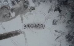 Участников акций против вырубки Троицкого леса подвергли репрессиям 