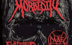 Morbidity, Evilgod и Gades «XXV in Grindcore. Live Split»