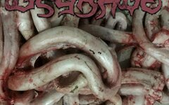 Degrade «Flesh For Fucking»