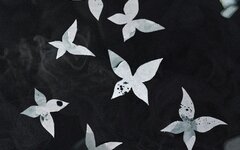 Кризалис «Колодцы» (интернет-релиз)