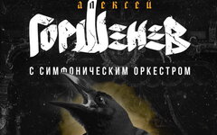 «Горшенев» добился культурного шока своим симфоническим концертом