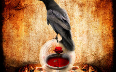 Black Raven Community «Nevermore»