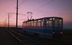 VicToriA «Укрытый дождем»