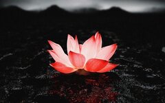 Ничего Кроме Правды feat. Магнитная Аномалия «Нирвана» (интернет-сингл)