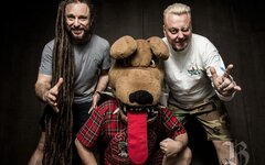 Distemper: «Большинство людей с возрастом лишь тупеют и деградируют» 