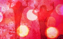 Адаптация пчел «Мутное время» (интернет-сингл)
