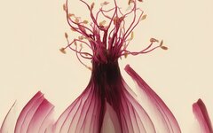 Ключевая «Матрешка»