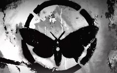 Электропартизаны «Черный мотылек» (интернет-сингл)