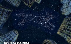 Кошка Сашка «Созвездие Белой Волчицы» 