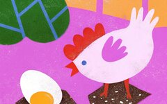 Хандроз «Ешь»