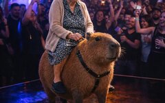 Действуй! «Корпоратив» (интернет-сингл)