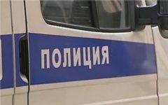 Полицейская машина. Фото с сайта thetimesnews.ru