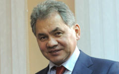 Сергей Шойгу © РИА Новости, Яна Лапикова