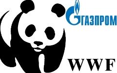 Коллаж © KM.RU