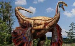 Ornithomimus edmontonicus. Фото с сайта denunciando.com