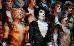 Мюзикл «Кошки». Фото с сайта musicalcats.net
