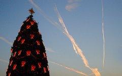 Рождественская елка. Фото с сайта wikipedia.org