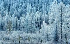 Фото с сайта liveinternet.ru