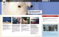 Скриншот главной страницы сайта wwf.ru