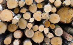Дрова. Фото с сайта freestockphotos.biz