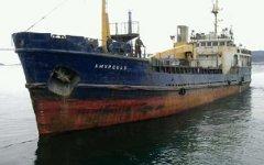 Сухогруз «Амурская». Фото с сайта maritime.port.bg