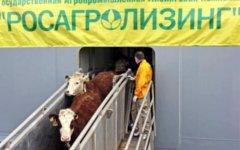 Фото с сайта rosagroleasing.ru