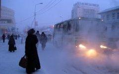 Остановка в Иркутске. Фото с сайта news.bcm.ru