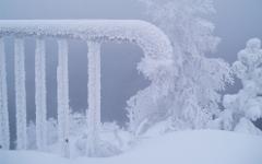 Фото mygazeta.com