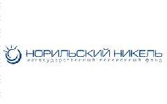 Логотип НПФ «Норильский Никель»