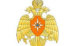 Эмблема МЧС РФ