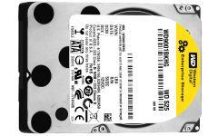 WD S25 SAS